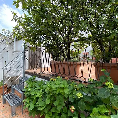 Terrazza Garibaldi By Postcardsfrom * Verona